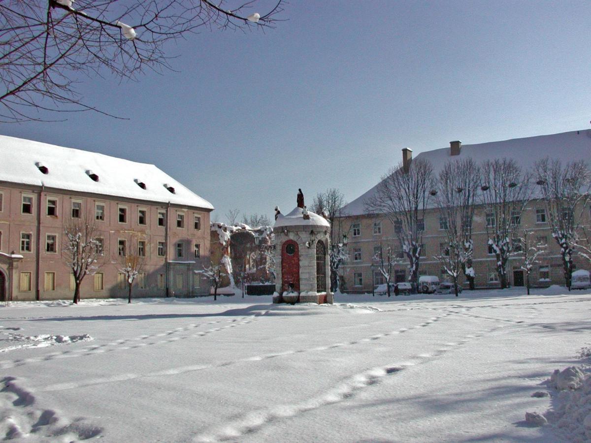 Apartment Magnolija - Free Parking Карловаць Екстер'єр фото