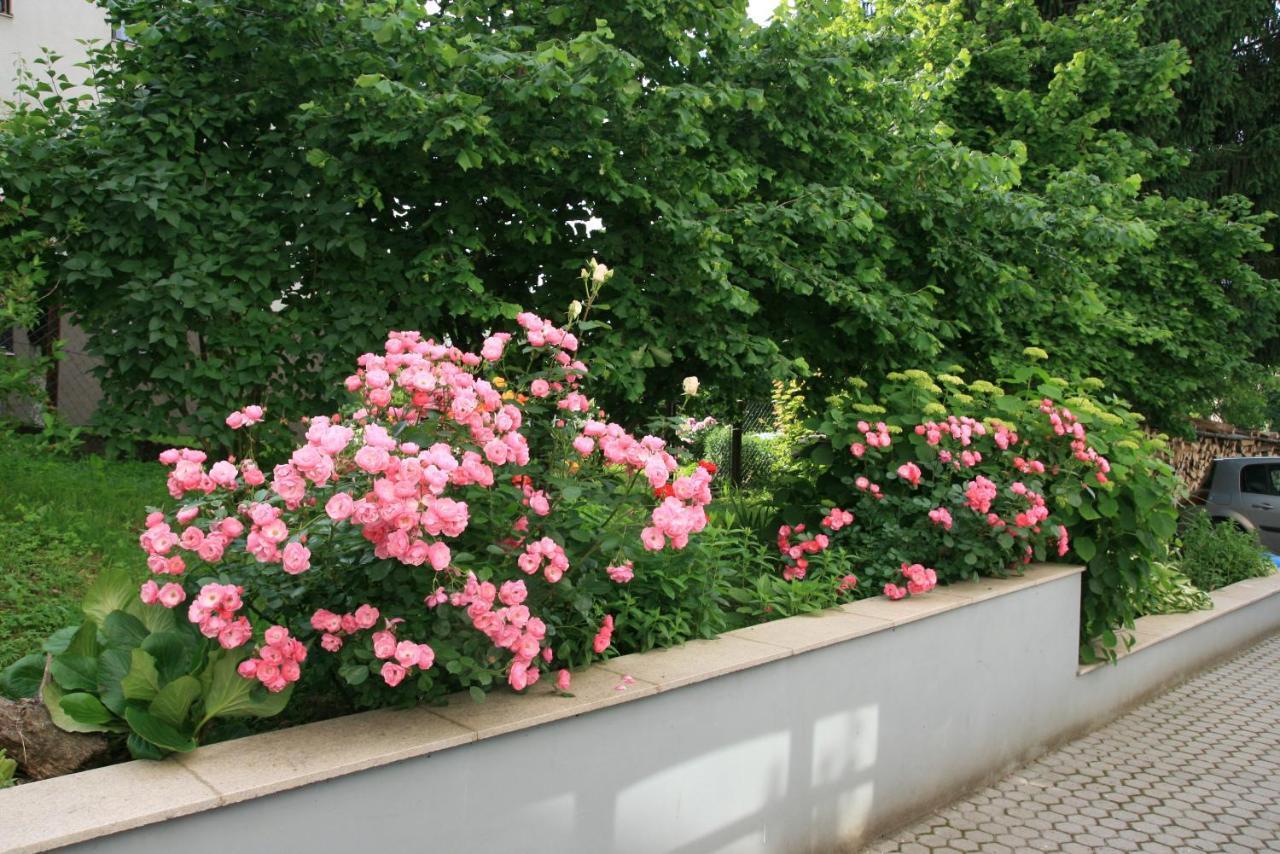 Apartment Magnolija - Free Parking Карловаць Екстер'єр фото